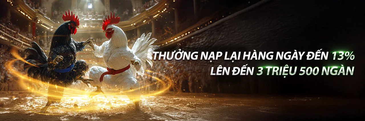 Đá gà trực tuyến Sanclub, trận đấu gà nảy lửa